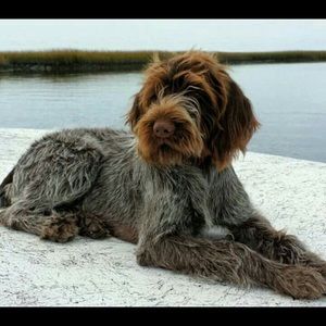 Meet your Posher, Cory